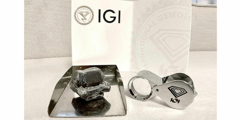 IGI Files for $477 Million IPO to Capitalise on Growing Lab-Grown Diamond Market igi